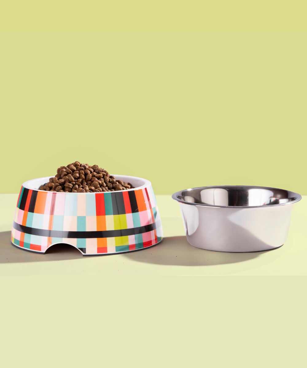 Bowls & Feeding