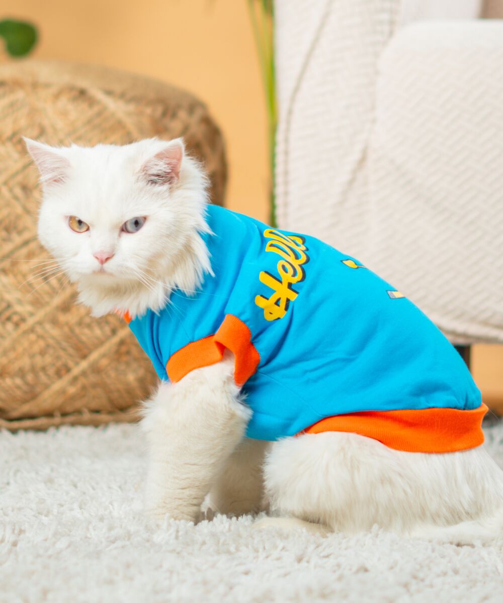 cat clothing