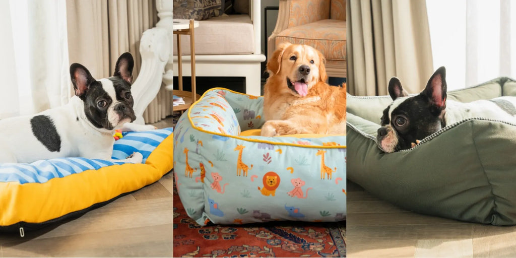 Beds So Cozy