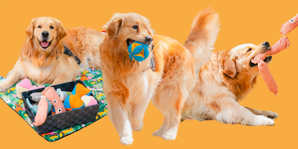 Playtime Just Got Better