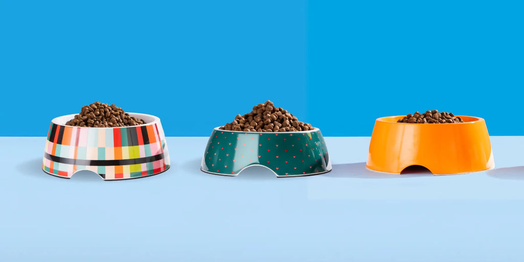 Upgrade Your Bowl