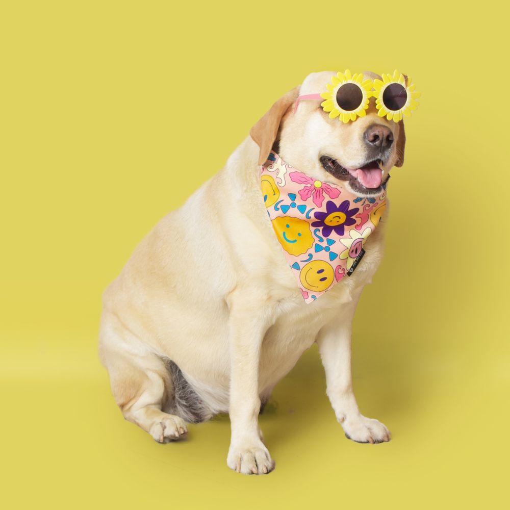 Bandanas