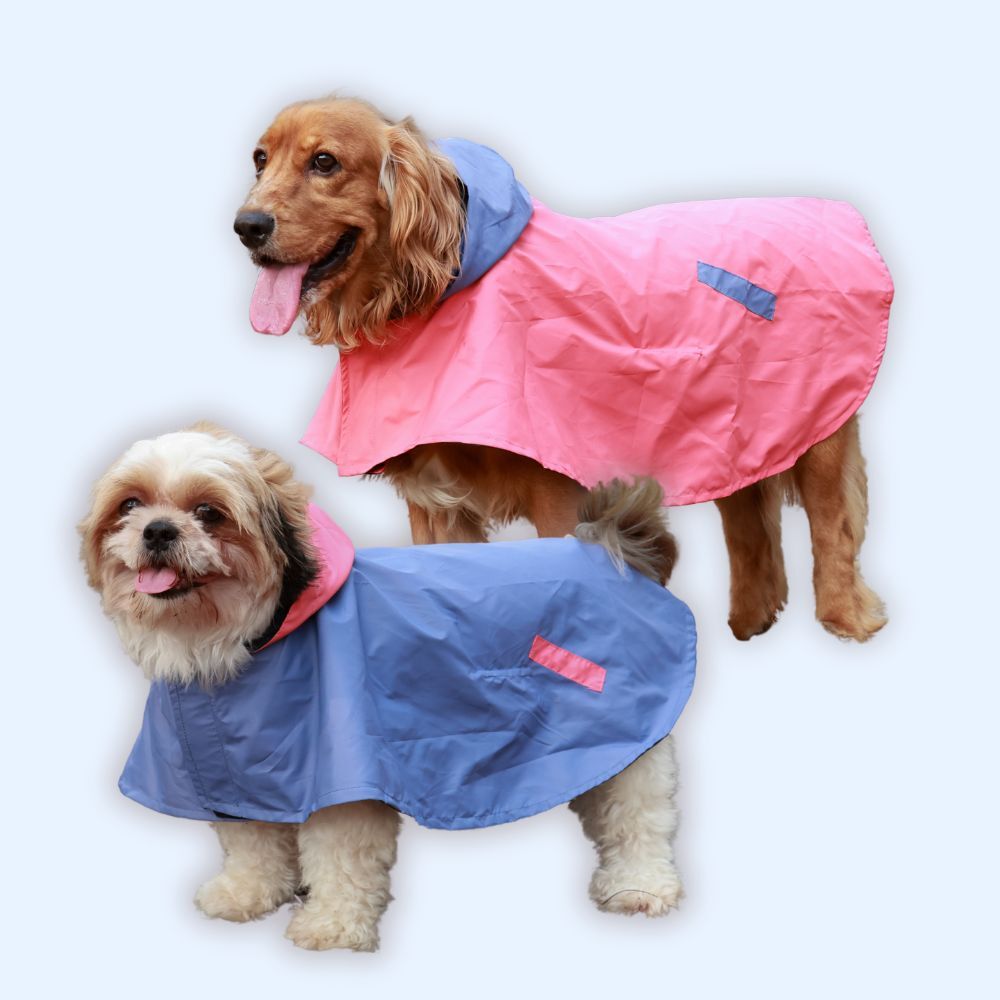 Raincoats